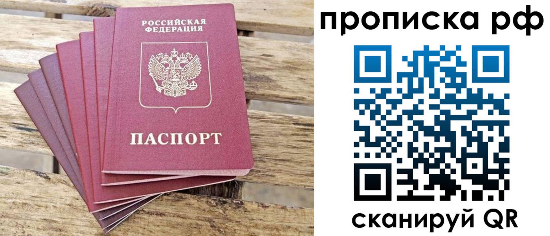 прописка гарантия в Камчатской области